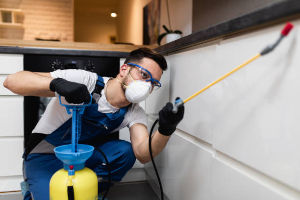 Wasp Removal Services in Fort Bragg, CA