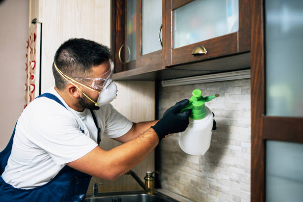 Best Pest Removal Services  in Fort Bragg, CA