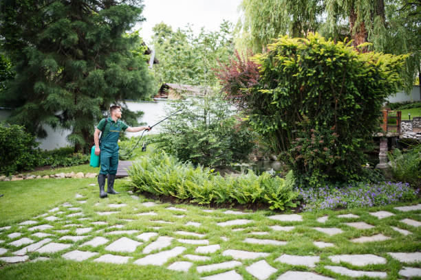 Best Affordable Pest Control Services  in Fort Bragg, CA