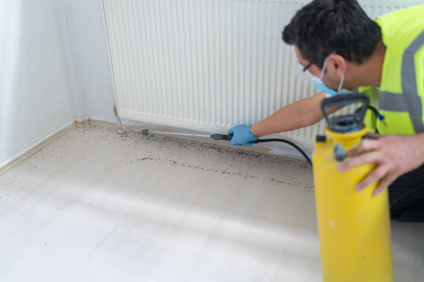 Best Residential Pest Control  in Fort Bragg, CA