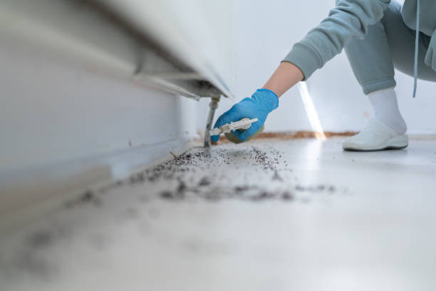 Best Residential Pest Control  in Fort Bragg, CA